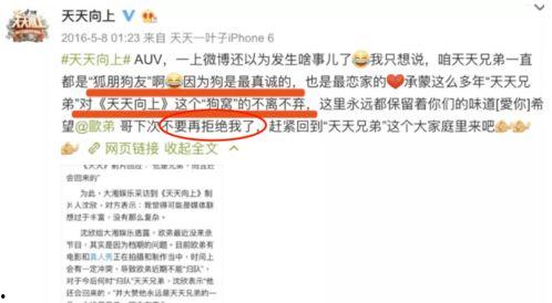 关于娱乐圈爆料员的介绍,揭秘爆料员的神秘世界