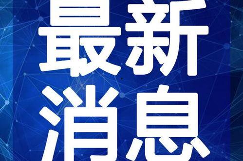 缅北最新爆料事件新闻视频,事件真相揭秘，视频揭露惊人内幕