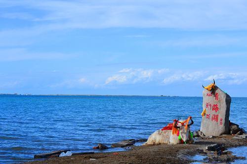 青海湖旅游爆料视频播放,探秘高原明珠的绝美风光与独特魅力 第3张 青海湖旅游爆料视频播放,探秘高原明珠的绝美风光与独特魅力 第3张