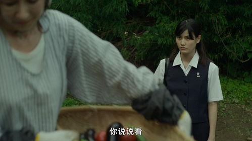 小森林夏秋篇在线观看,田园诗意，收获的季节  第2张