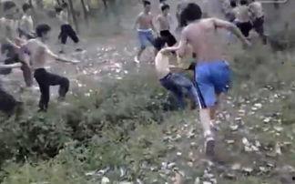 河南高中生爆料新闻视频,揭秘校园内幕