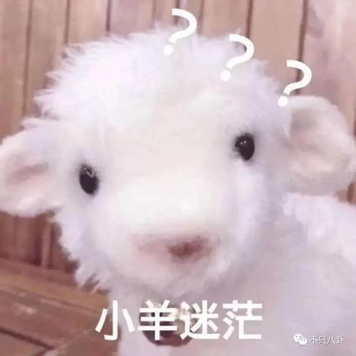 今日爆料718小羊没烦恼,揭秘“没烦恼”背后的真相