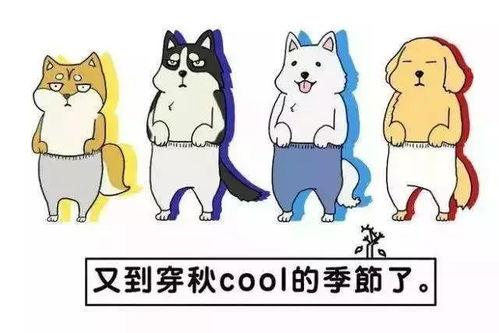今日爆料718小羊没烦恼,揭秘“没烦恼”背后的真相 第2张 今日爆料718小羊没烦恼,揭秘“没烦恼”背后的真相 第2张