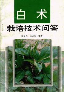 白术最新技能爆料图片,神秘力量觉醒,战力再升级! 第2张 白术最新技能爆料图片,神秘力量觉醒,战力再升级! 第2张