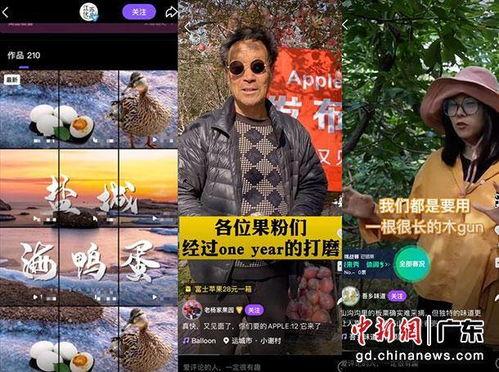 星光村大将爆料视频大全,视频大全揭秘幕后真相