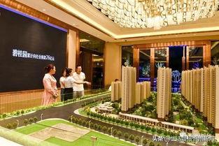 忻州碧桂园爆料最新消息,揭秘项目进展与未来规划 第3张 忻州碧桂园爆料最新消息,揭秘项目进展与未来规划 第3张