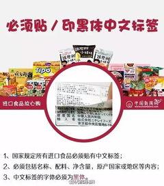 东莞爆料最新新闻消息今天,聚焦城市动态与民生焦点  第3张