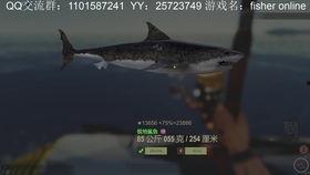 鲨鱼最新爆料视频大全集,揭秘海洋深处的秘密与奇观 第2张 鲨鱼最新爆料视频大全集,揭秘海洋深处的秘密与奇观 第2张