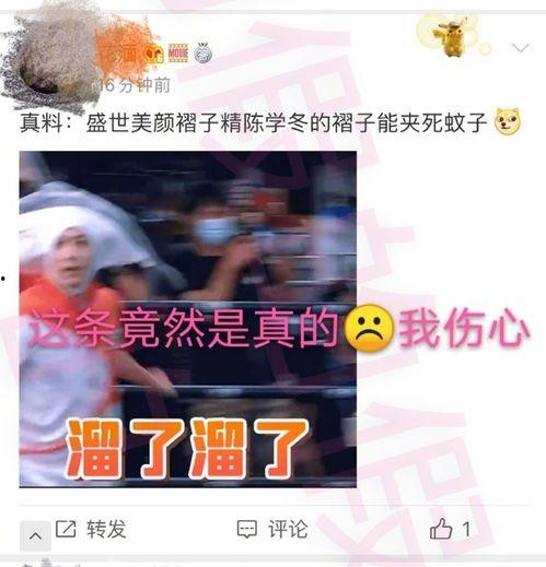 粉丝爆料有人开视频吗,神秘视频流出，真相究竟如何？