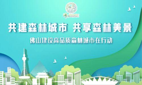 佛山新闻爆料有用吗,助力城市治理,共建和谐家园 第2张 佛山新闻爆料有用吗,助力城市治理,共建和谐家园 第2张