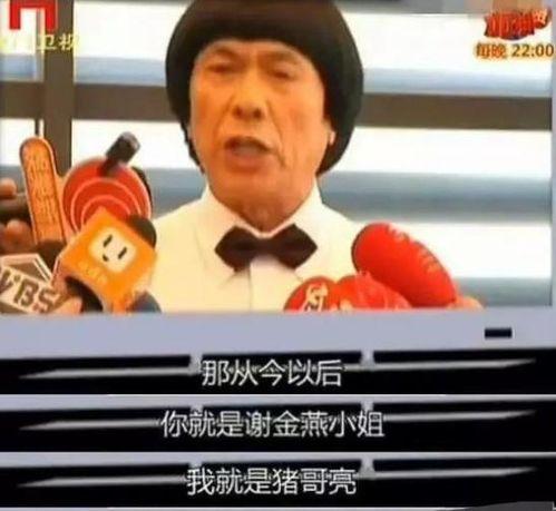 猪哥亮爆料视频,娱乐圈不为人知的幕后故事  第3张