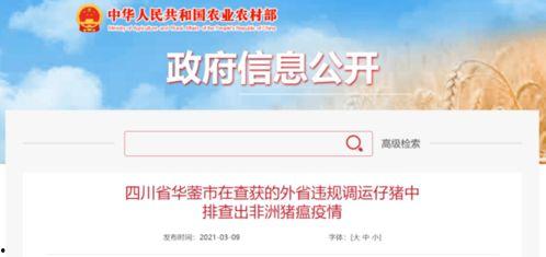 竹山农香最新爆料新闻视频,最新爆料视频深度解析  第3张