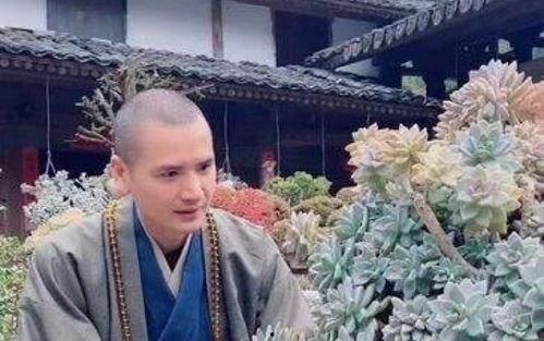 和尚爆料图片大全集视频,图片大全集视频背后的惊人真相  第3张