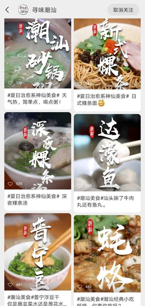 潮汕实时爆料视频,视频揭秘当地风情与文化  第1张