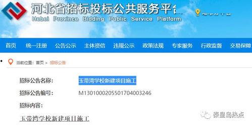 秦黄岛最新爆料信息网,揭秘岛内神秘事件与不为人知的真相  第2张
