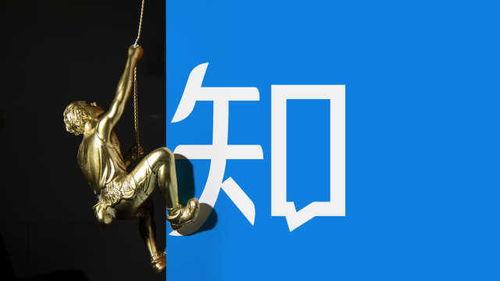 没视频能爆料吗知乎,无视频如何借助知乎爆料，揭秘网络热点背后的真相  第2张