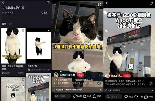 emo视频爆料  第3张
