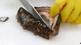 海参厨师爆料视频,海参烹饪背后的秘密与技巧  第3张