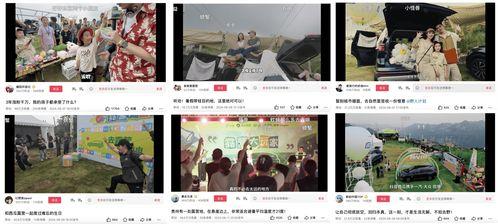 活动爆料视频大全集最新,精彩瞬间一网打尽  第3张