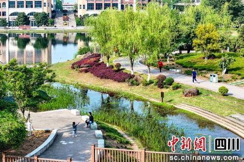 合江湿地公园爆料视频,揭秘自然生态之美