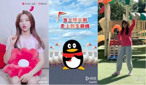 正能量挑战爆料视频完整版,揭秘视频背后的感人故事与励志瞬间