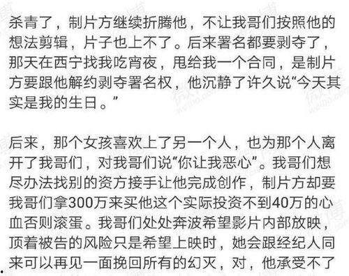 博主爆料娱乐圈小说,揭秘幕后真相，揭开明星们的爱恨情仇  第2张