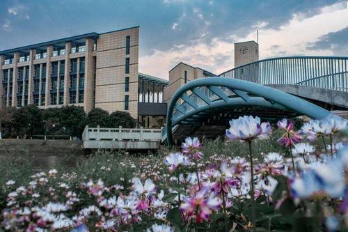 福州学校爆料视频大全,揭秘校园爆料视频背后的真实故事