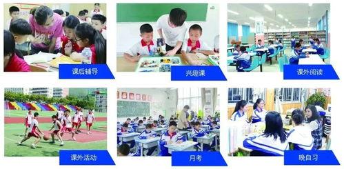 福州学校爆料视频大全,揭秘校园爆料视频背后的真实故事  第2张