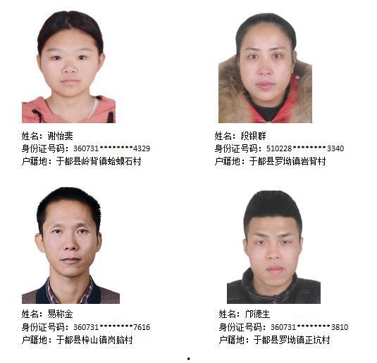 实名爆料缅北人员视频,实名爆料视频曝光惊人内幕