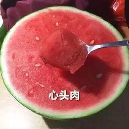 被吃瓜的医美网红有哪些,被吃瓜的医美网红风云录 第2张 被吃瓜的医美网红有哪些,被吃瓜的医美网红风云录 第2张
