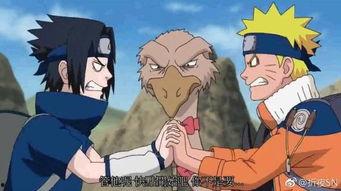 火影今日爆料最新一集