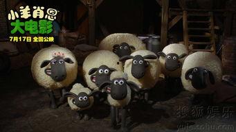 是谁爆料小羊的视频播放,神秘爆料者揭露小羊视频播放之谜  第3张 是谁爆料小羊的视频播放,神秘爆料者揭露小羊视频播放之谜  第3张