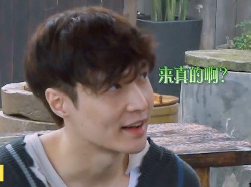 圈内人爆料张艺兴杨紫,幕后故事揭秘  第2张 圈内人爆料张艺兴杨紫,幕后故事揭秘  第2张