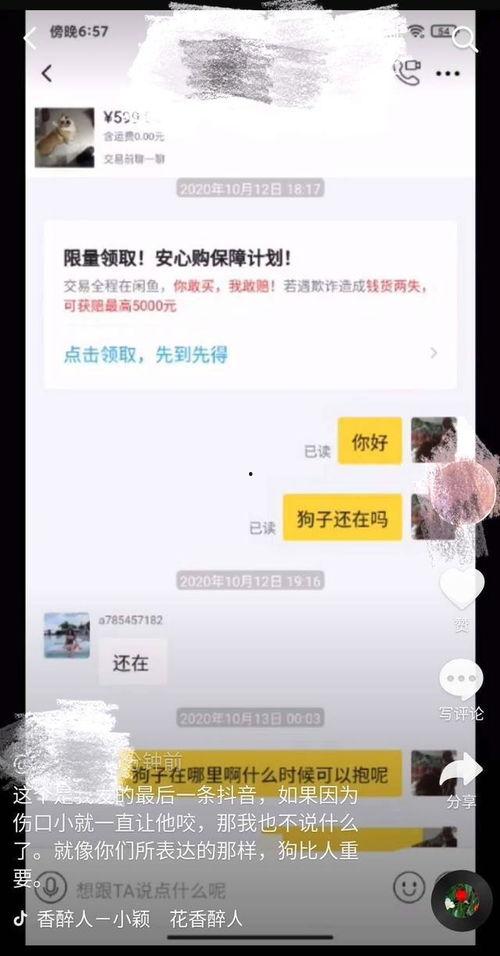 短视频被爆料会怎么样吗,揭秘网络舆论的威力与影响  第2张