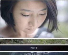 陈赫娱乐圈爆料,揭秘明星背后的真实故事  第2张