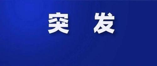 裁员最新爆料新闻报道,最新爆料揭示企业大规模减员真相