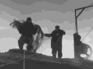 水鬼视频在线观看,在线观看带你领略神秘水下世界  第3张