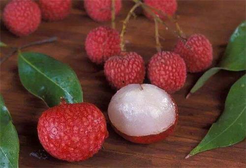 水果贩子爆料视频大全集,视频大全集揭秘水果行业幕后真相