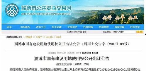 淄博最新爆料,揭秘城市蜕变背后的故事