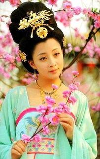 杨贵妃秘史全集在线观看,揭秘唐朝传奇美人的爱恨情仇