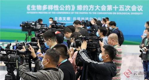 记者爆料云南事件视频,记者现场直击惊人一幕 第3张 记者爆料云南事件视频,记者现场直击惊人一幕 第3张