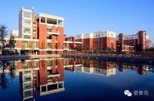 青岛十九中最新爆料,揭秘校园风云背后的故事  第3张