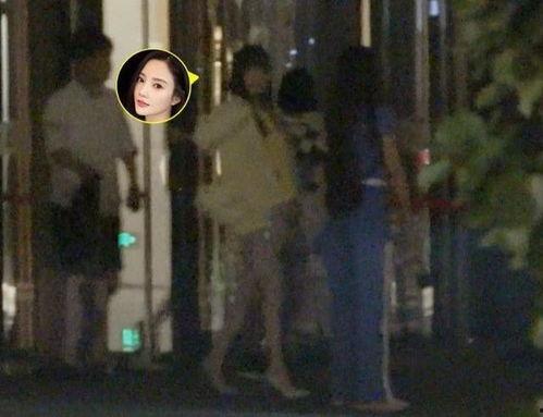 小鹿离婚爆料视频大全集  第3张