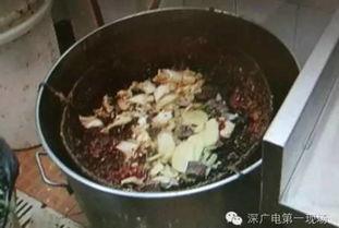 红油咸菜爆料视频播放,红油咸菜视频播放背后的故事  第3张