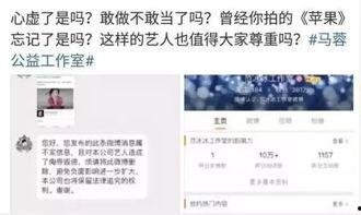 马蓉爆料范冰冰微博视频,揭秘娱乐圈背后真相
