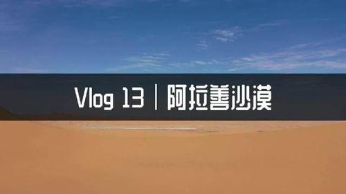 阿拉善盟爆料最新消息视频,视频揭秘神秘事件！