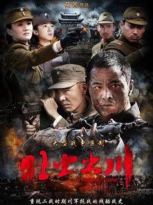 电视剧壮士出川全集在线观看,热血征程，英雄辈出