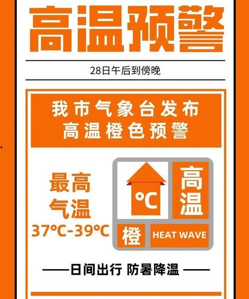 沈阳今日头条爆料电话  第3张